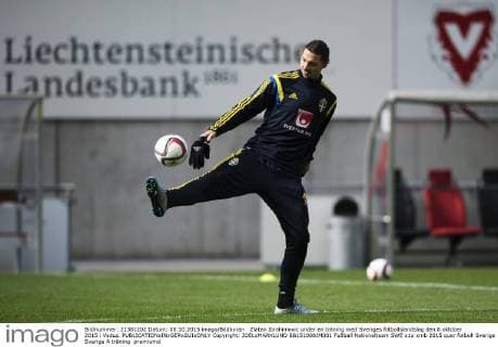 Football, National Team Sweden Training