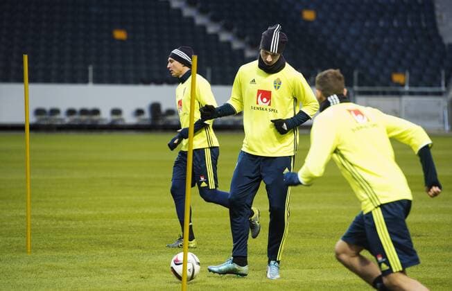 Football, Training National Team Sweden