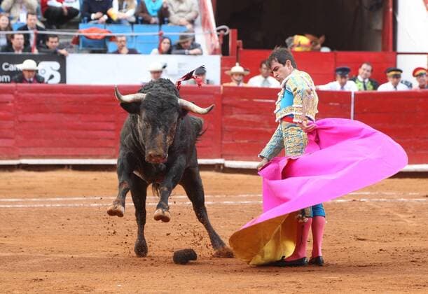 Bullfight in Mexico City