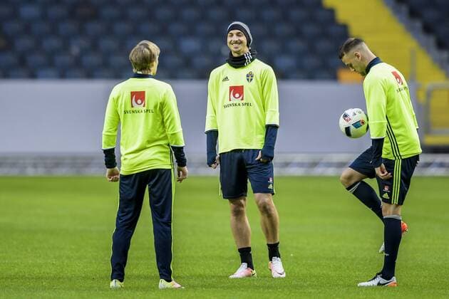 Football, Training National Team Sweden in Stockholm
