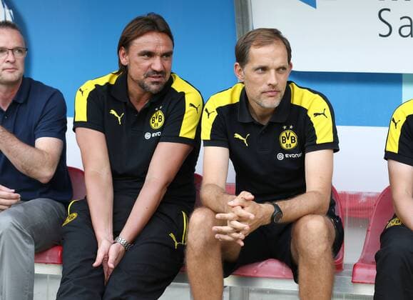 Football, Daniel Farke becomes new coach at Norwich City