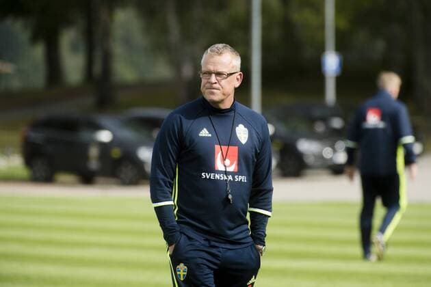 Football, Training National Team Sweden
