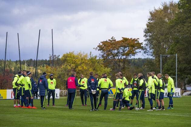 Football, Training National Team Sweden