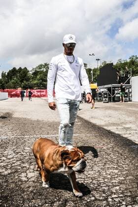 Formula 1, Spanish GP, Lewis Hamilton and his bulldog Roscoe