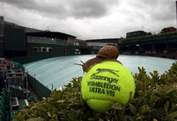 Tennis, Wimbledon, Day 7