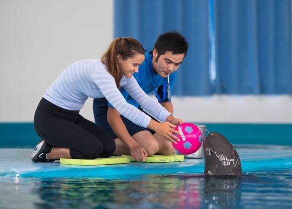 Tennis, Lauren Davis visits whales at the aquarium in Wuhan