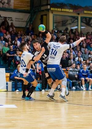 Handball, 2.BL, Dessau-Rosslauer HV - HC Elbflorenz