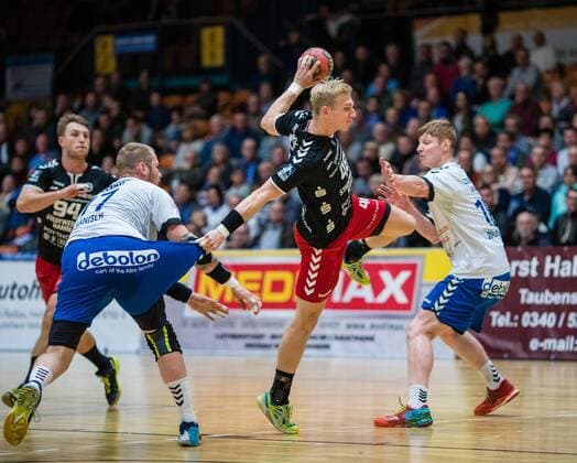Handball, 2. BL, ASV Hamm - Dessau Rosslauer HV