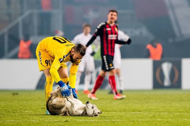 Football, EL, Dog interrupts Vadar Skopje vs Rosenborg Trondheim match