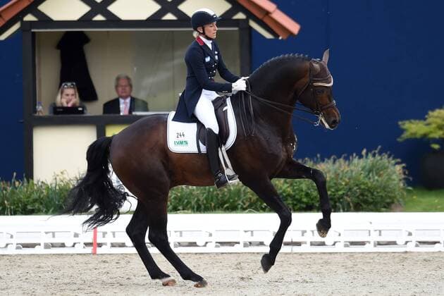 Equestrian Sport, Dressage, Horses & Dreams, Freestyle Music