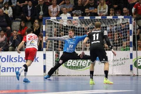 Handball, 2. BL, HC Elbflorenz Dresden - ASV Hamm-Westfalen