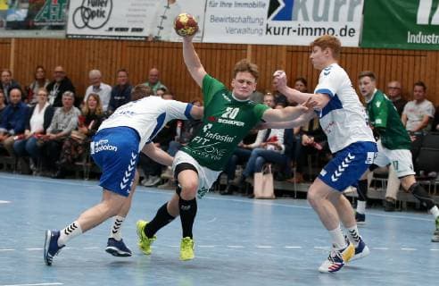 Handball, 2. BL, DJK Rimpar Wölfe - Dessau-Rosslauer HV