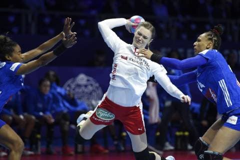 Handball, Women's European Championship, France - Denmark
