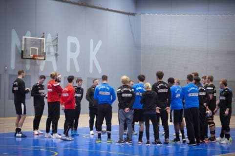 Handball World Cup, Training National Team Denmark