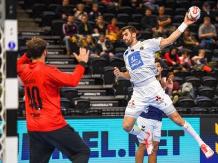 Handball World Cup, Austria - Argentina