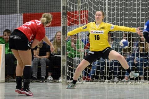 Handball, 1. BL Women, HSG Bad Wildungen Vipers - HSG Blomberg-Lippe