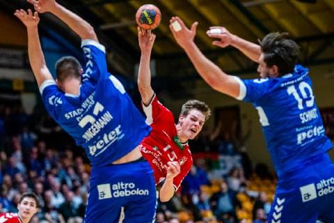 Handball, 2. BL, Dessau-Rosslauer HV 06 - HSV Hamburg