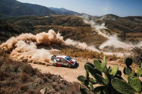 WRC, Rally Mexico