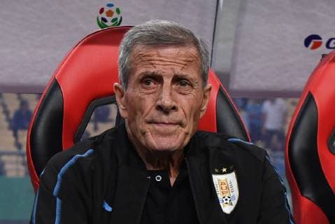 Football, Copa America 2019 - The Coaches