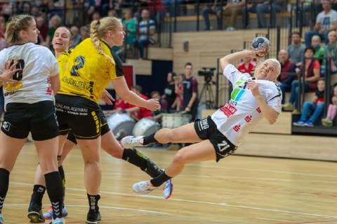 Handball, Ladies, Union Halle - TV Nellingen