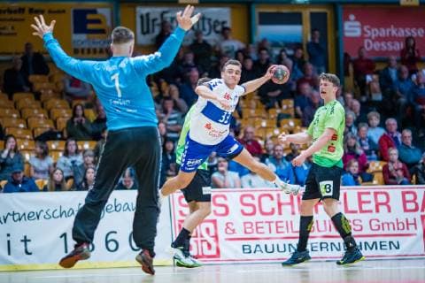 Handball, 2nd BL, Dessau-Rosslauer HV 06 - TV Emsdetten