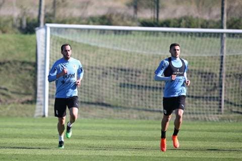 Football, Copa America, National Team Uruguay Training