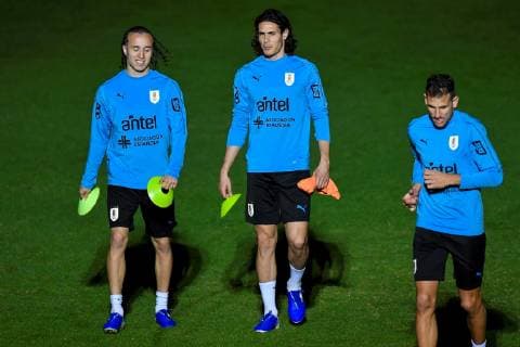 Football, Copa America, Uruguay National Team Training