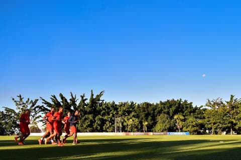 Football, Copa America, National Team Ecuador Training