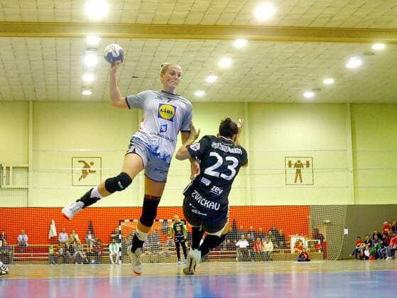 Handball, Ladies, DHB Cup, BSV Sachsen Zwickau - Neckarsulmer Sportunion