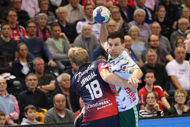 Handball, HBL, SG Flensburg-Handewitt - Fresh On! Göppingen