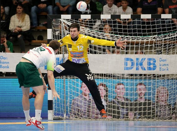 Handball, HBL, Fresh Up! Göppingen - HSG Wetzlar