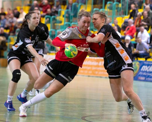 Handball, Ladies, Frankfurt HC - MTV Heide