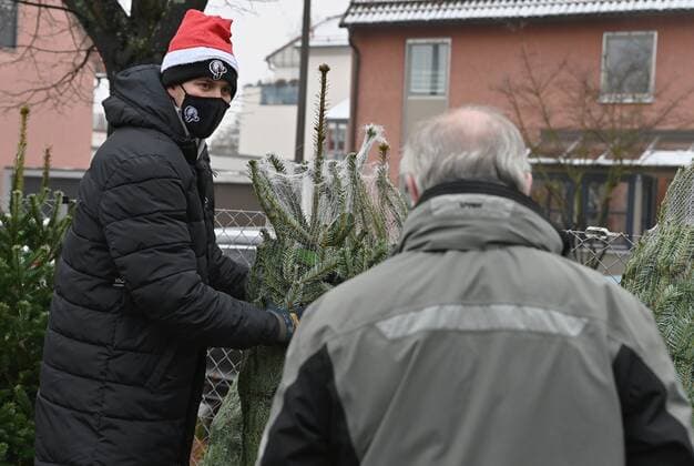 Basketball, players of the Nürnberg Falcons help selling Christmas trees