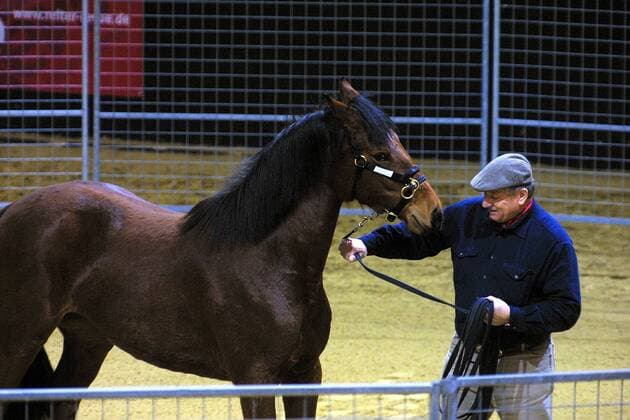 Pferdetrainer Monty Roberts (USA) bei einer Vorführung - Equitana 2003