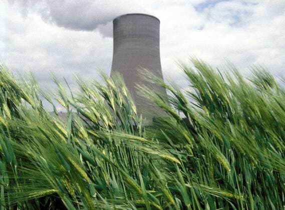 Atommeiler des Kernkraftwerks Weißenthurm hinter Getreidehalmen
