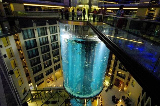AquaDom im SeaLife-Center des Radisson SAS-Hotels im DomAquaree - Berlin