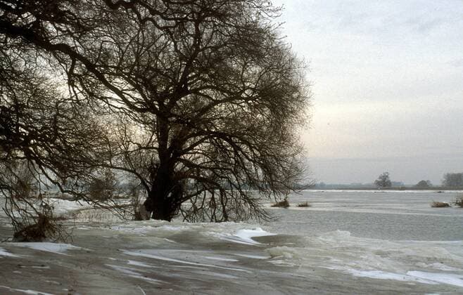 Vereiste und überflutete Elbe - Wendland