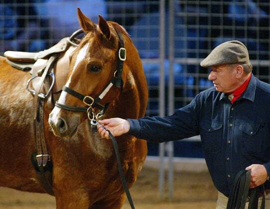 Pferdeflüsterer Monty Roberts (USA) während einer Vorführung