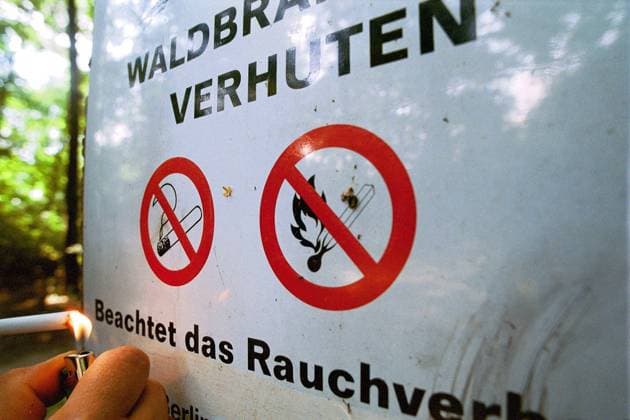 Feuerzeug an einem Waldbrände verhüten-Schild