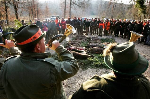 Jäger blasen das Jagdhorn am Ende einer Treibjagd bei Nürtingen