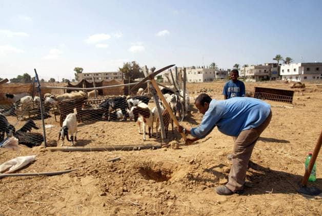Bauer Hani Abu Qisi (PLE) nahe der ehemaligen israelischen Siedlung Kfar Darom im Gaza-Streifen -  (gaz2005092011)