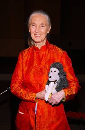 Biologin Jane Goodall (GBR) mit einem Plüschaffen anlässlich der - Jules Vernes Adventure Filmfestival - Eröffnungsgala in Los Angeles