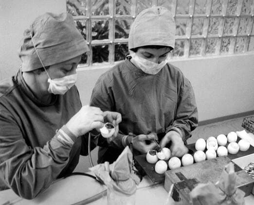 Laborantinnen während der Herstellung eines Grippe Impfstoffes unter Zuhilfenahme von Bruteiern im VEB Sächsisches Serumwerk Dresden
