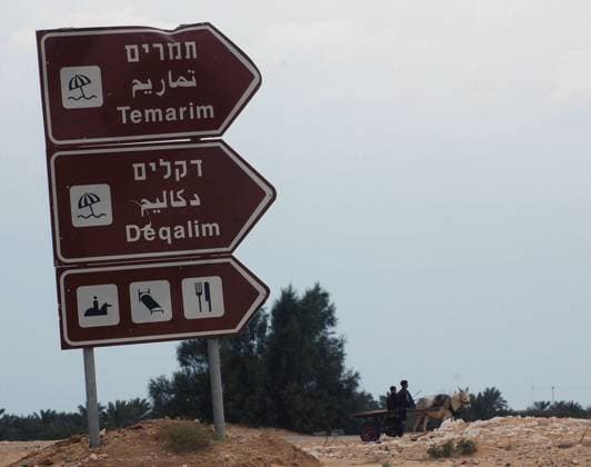 Wegweiser auf Englisch und Hebräisch in Gush Katif im Gazastreifen -  (JER2004020402)