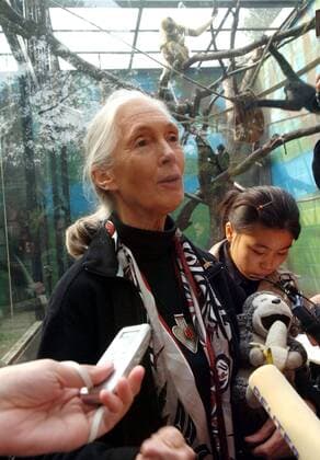 IMAGO ICONS: Jane Goodall Dr. Jane Goodall (GBR Biologin) besucht den Zoo in Peking - 