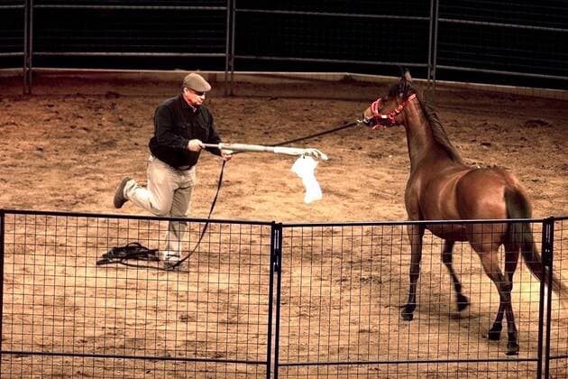 Pferdeflüsterer Monty Roberts (USA) mit einem Pferd in der Schleyerhalle Stuttgart