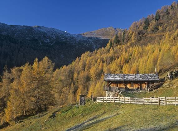 Almhütte im Morgenlicht bei Sterzing - Italien (iblcgh00181819)