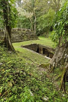 Ausgrabungsstätte Yaxchilan in Mexiko - iblstr00208549