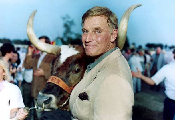 Schauspieler Charlton Heston neben einem Texas-Bullen -  (wax2008040709)