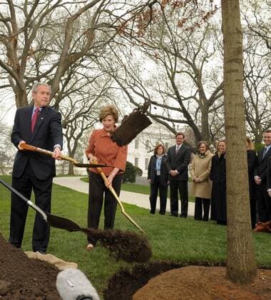Präsident George W. Bush (li., USA) mit Ehefrau Laura anlässlich einer Baumpflanzung im Garten des Weißen Hauses in Washington D.C.  (WAP2008040930)